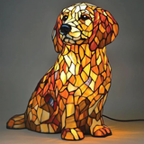 Buddy | Golden Retriever Spirituelles Licht